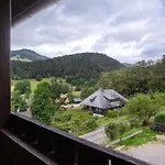 Familien-sportappartements Wetzel דירה Menzenschwand-Hinterdorf