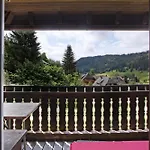 Apartman Familien-sportappartements Wetzel Menzenschwand-Hinterdorf