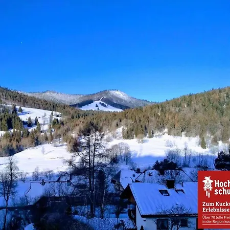 Familien-sportappartements Wetzel * Menzenschwand-Hinterdorf