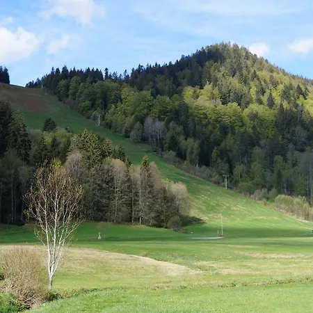Familien-sportappartements Wetzel * Menzenschwand