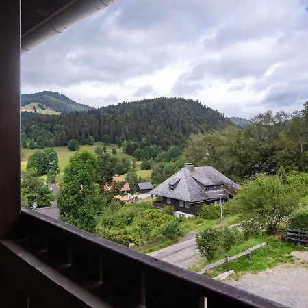 Familien-sportappartements Wetzel Menzenschwand-Hinterdorf