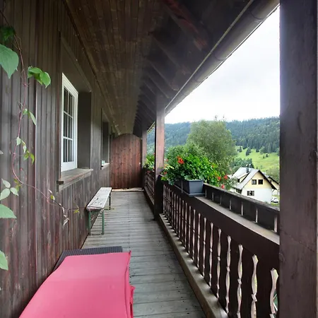 Apartmán Familien-sportappartements Wetzel Menzenschwand-Hinterdorf