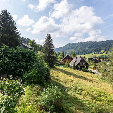 Familien-sportappartements Wetzel Menzenschwand-Hinterdorf