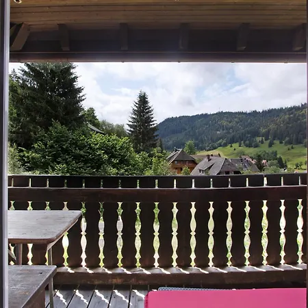 아파트 Familien-sportappartements Wetzel Menzenschwand-Hinterdorf